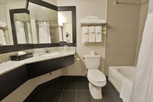 Holiday Inn Montreal Centre Ville badkamer